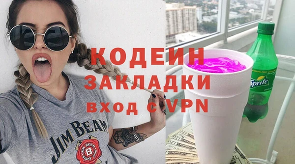 2c-b Бородино