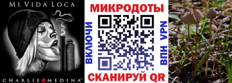 omg   Сретенск  Галлюциногенные грибы мицелий 